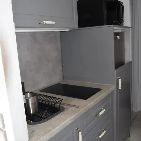 Plage D'aiguebelle Apartment *